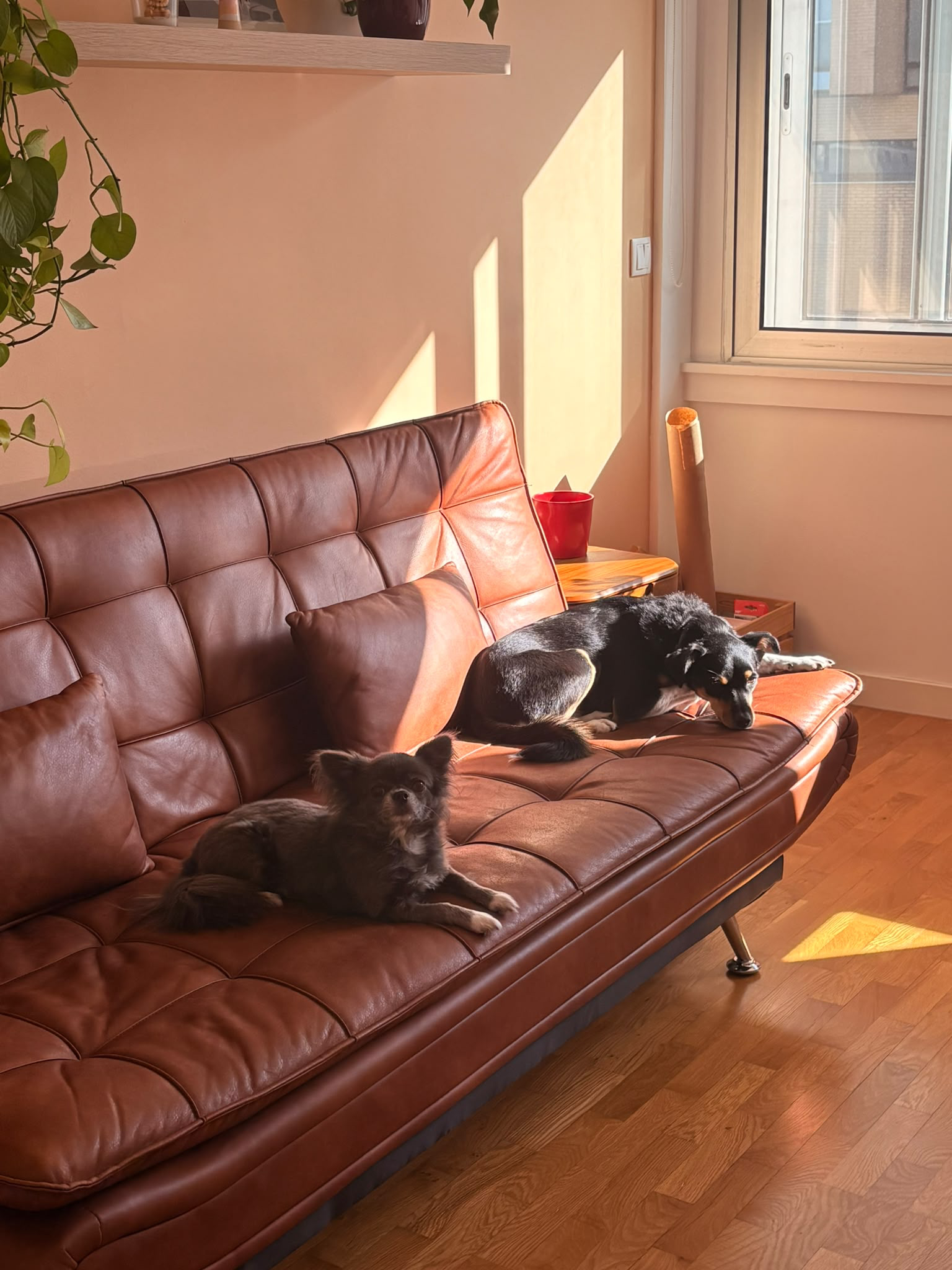 Nossas filhas descansando no sofá
